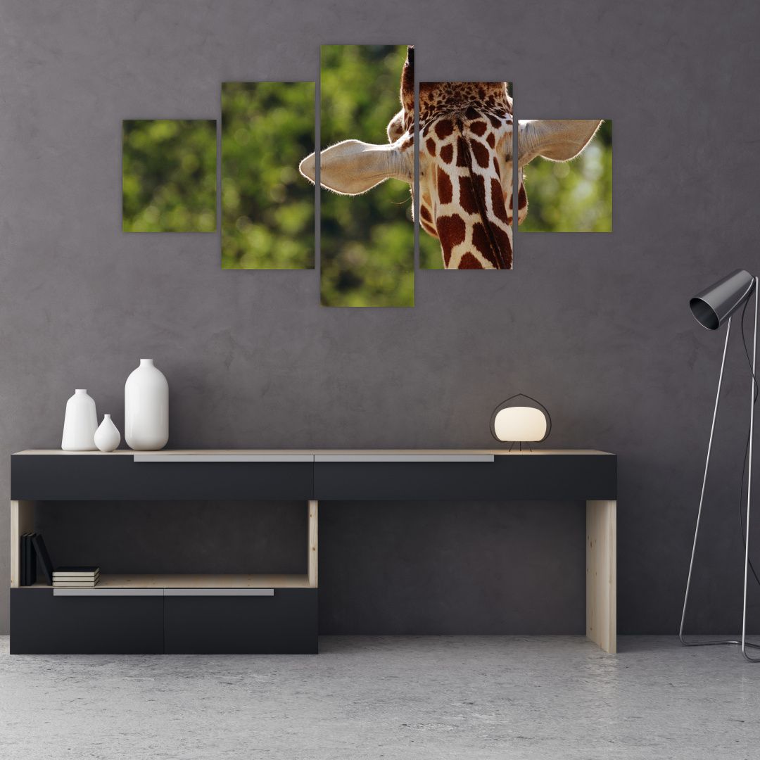 Obraz žirafy zezadu (V020638V12570)