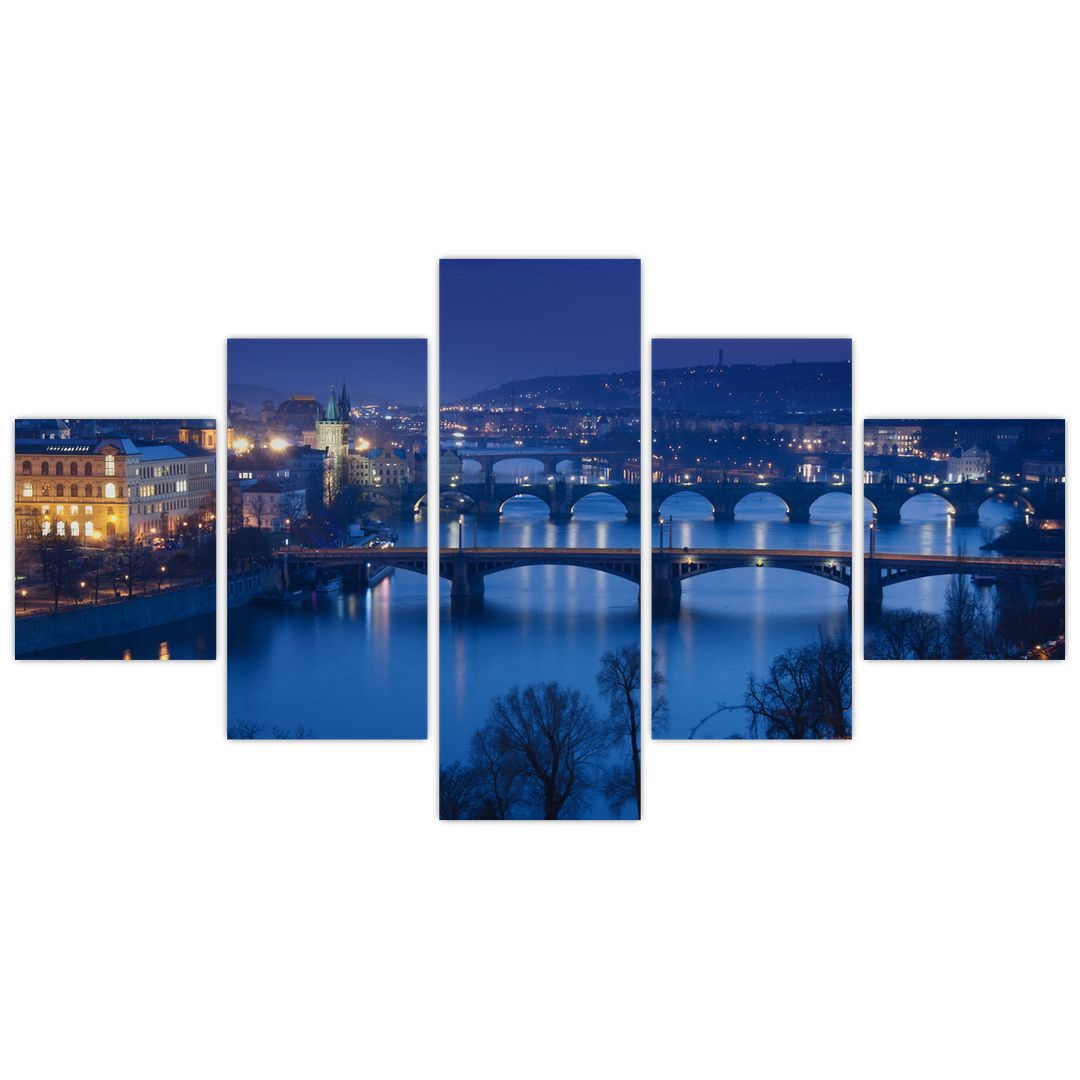 Obraz pražských mostů (V020932V12570)