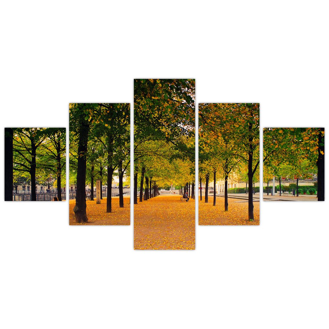 Obraz aleje podzimních stromů (V020953V12570)