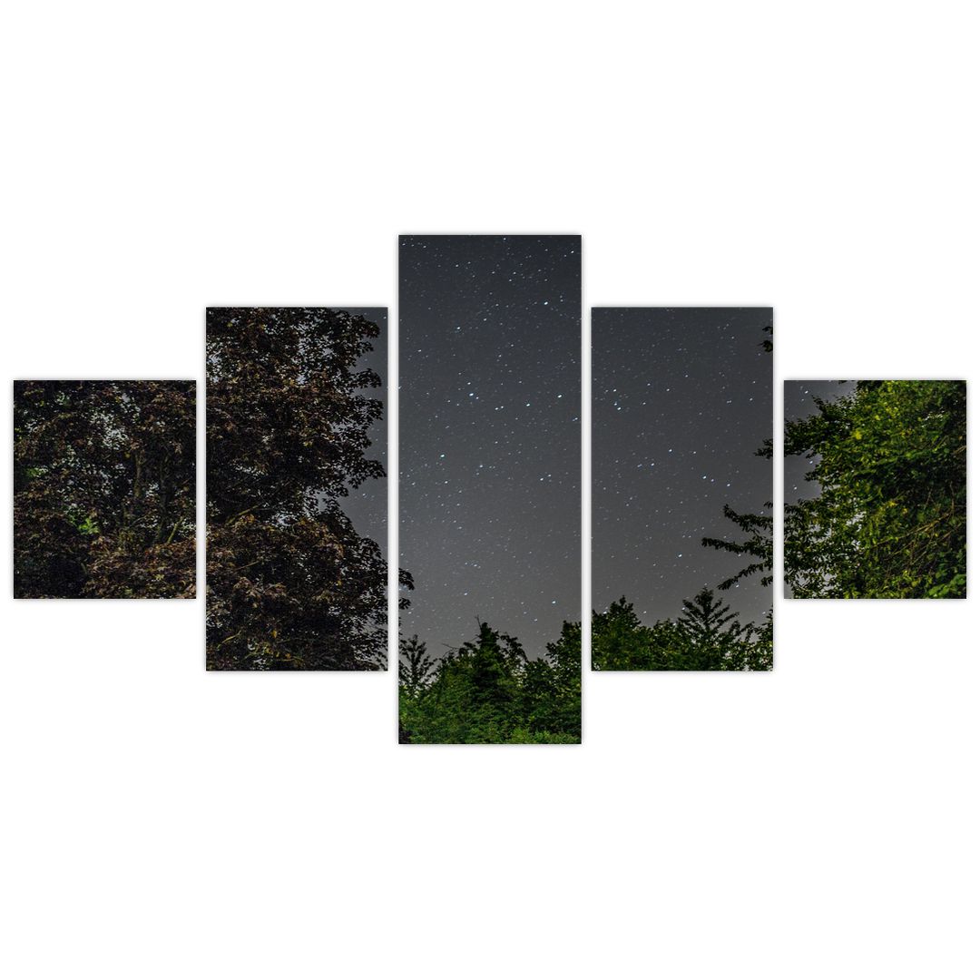 Obraz noční oblohy (V020998V12570)