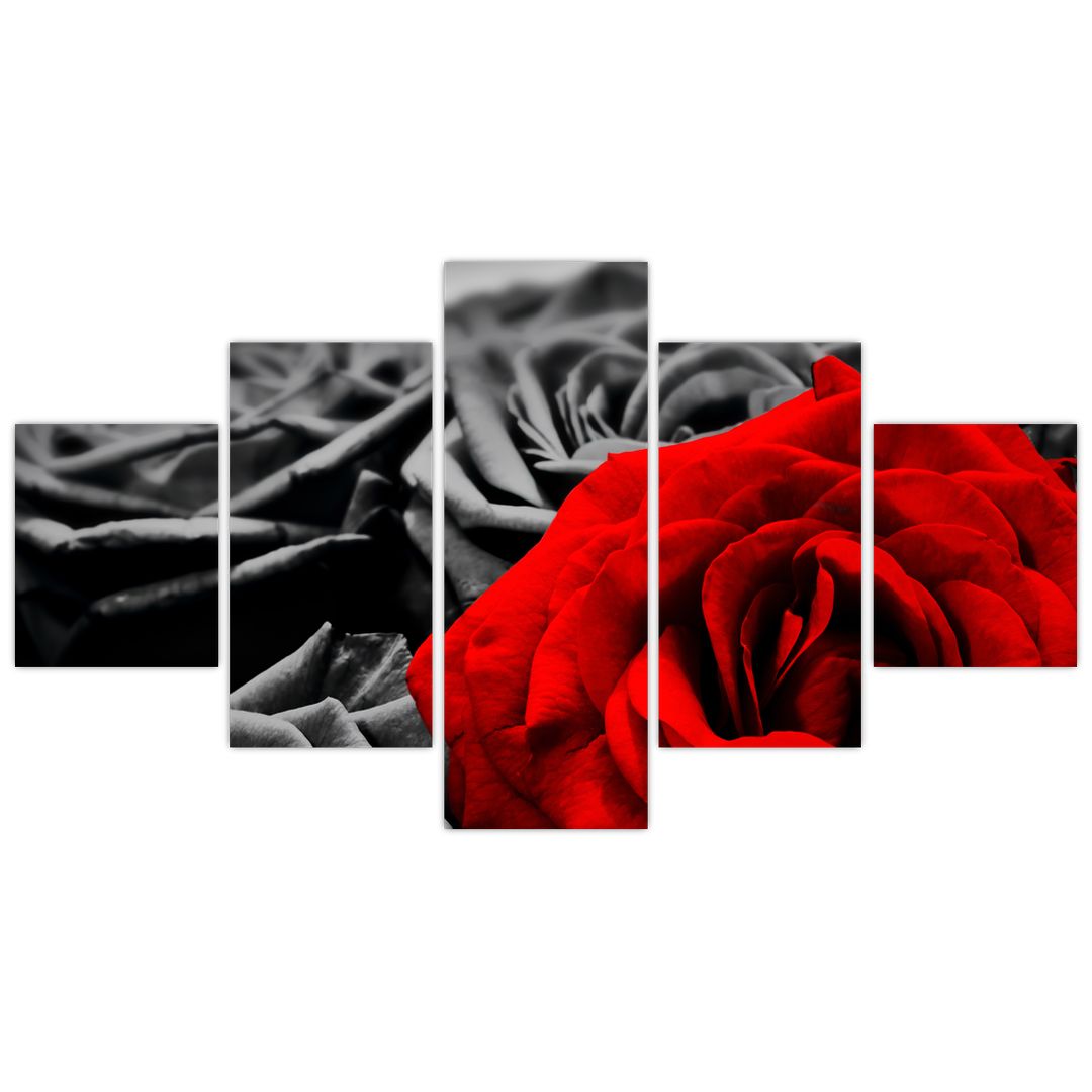 Tablou - Flori de trandafir (V021975V12570)