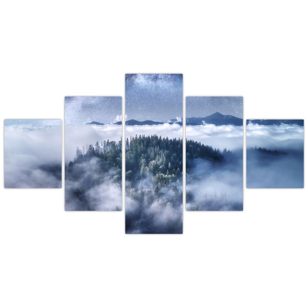 Obraz lesa v mlze (V022302V12570)