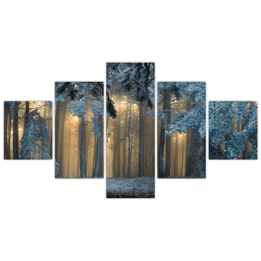 Obraz zasněženého lesa (V022318V12570)