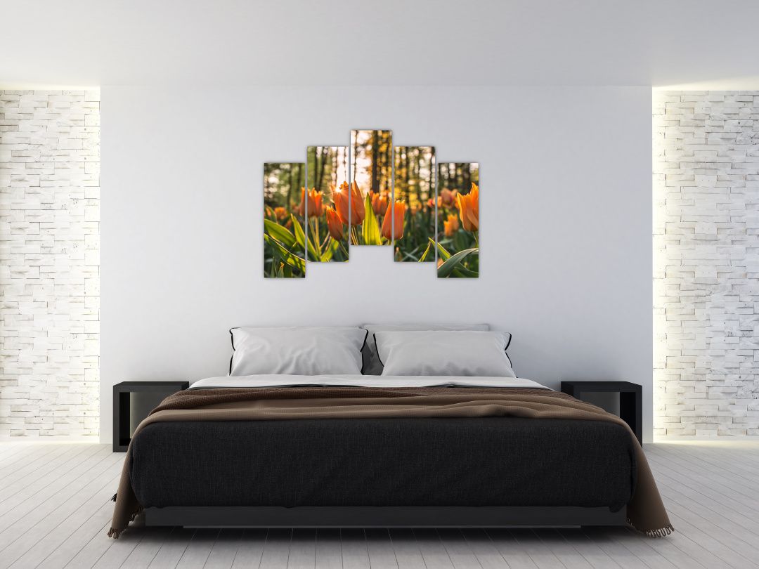 Obraz - oranžové tulipány (V020552V12590)