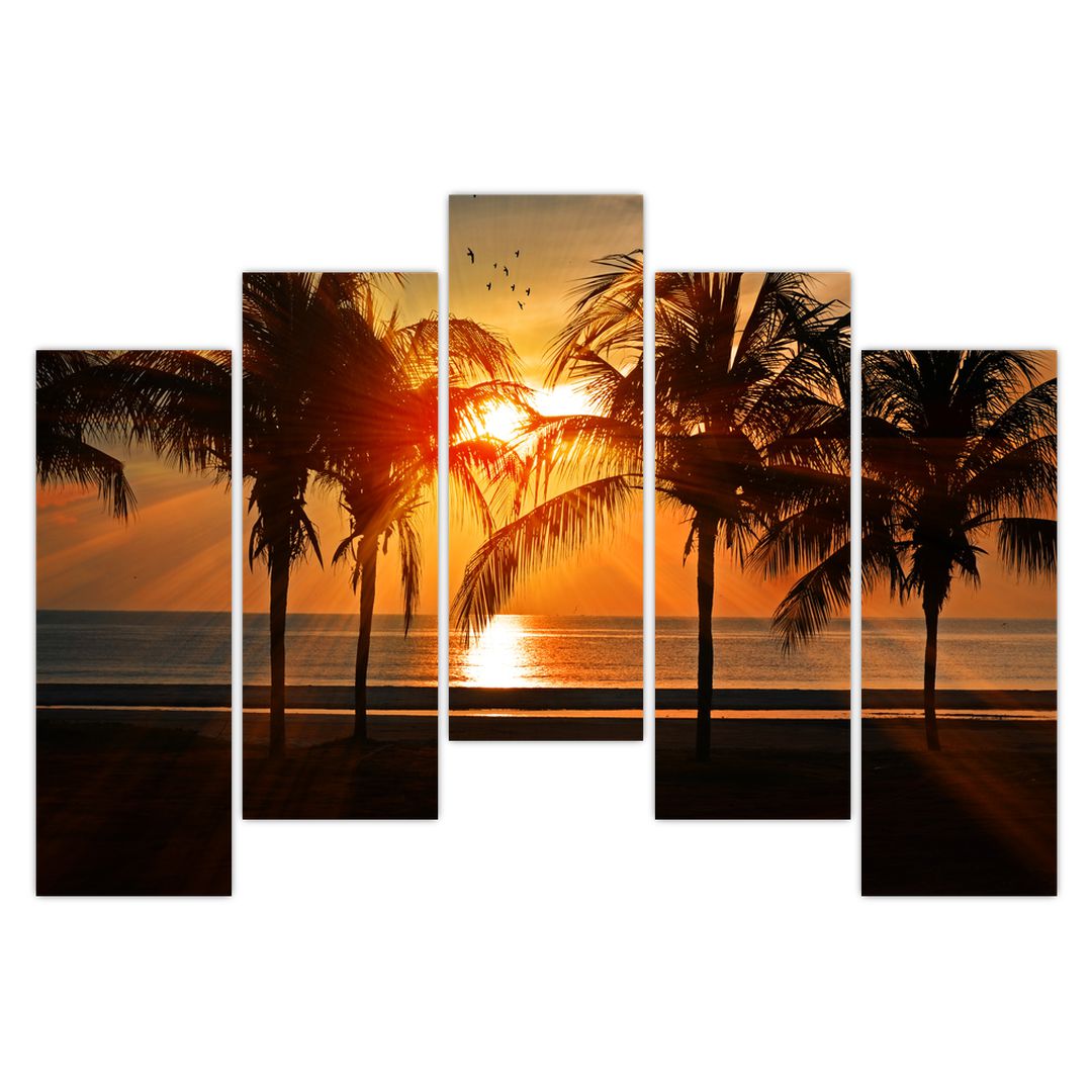 Obraz palmy v západu slunce (V020622V12590)
