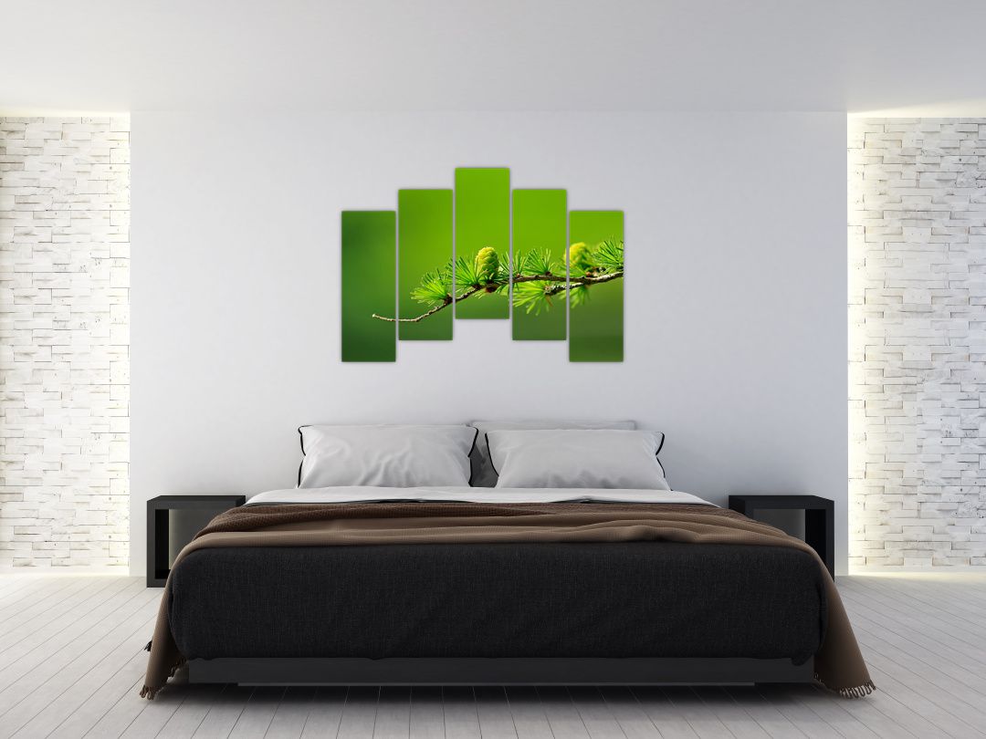 Obraz zelené šišky (V020627V12590)