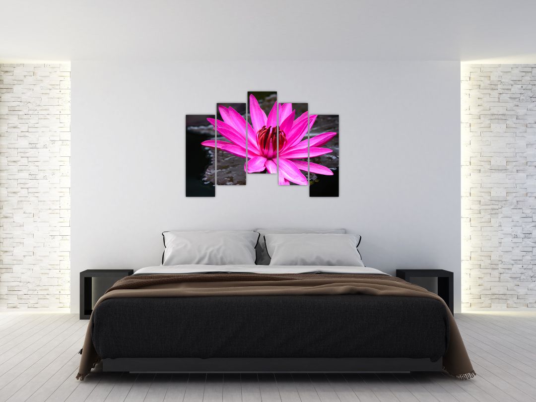 Obraz - růžový květ (V020636V12590)
