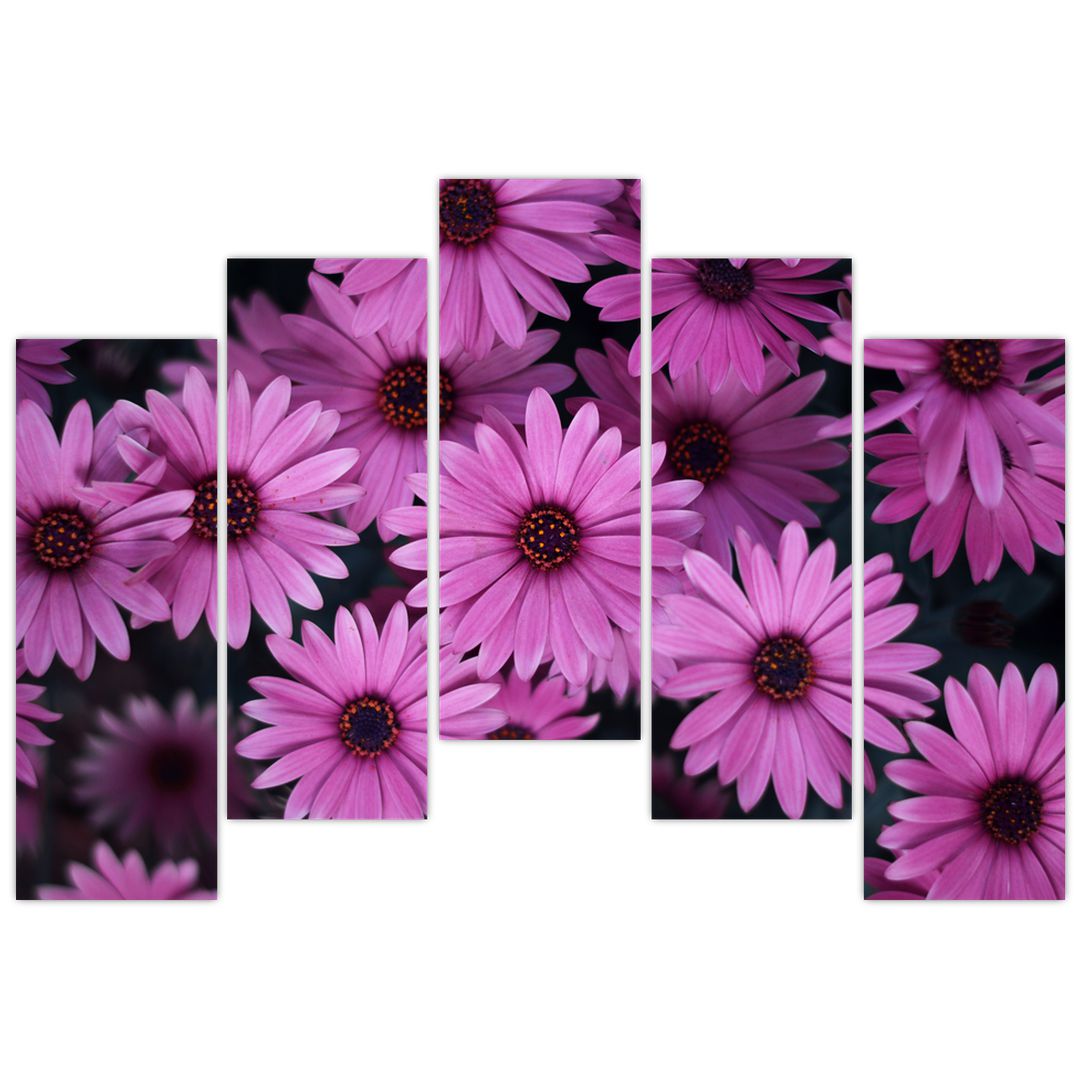 Obraz růžových květů (V020923V12590)