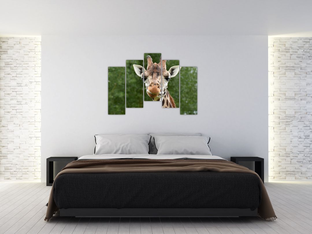 Obraz žirafy (V020969V12590)