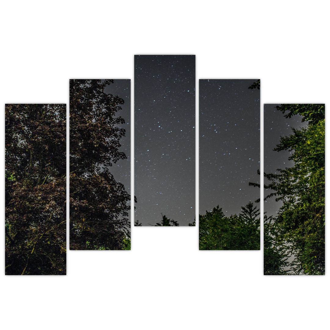 Obraz noční oblohy (V020998V12590)