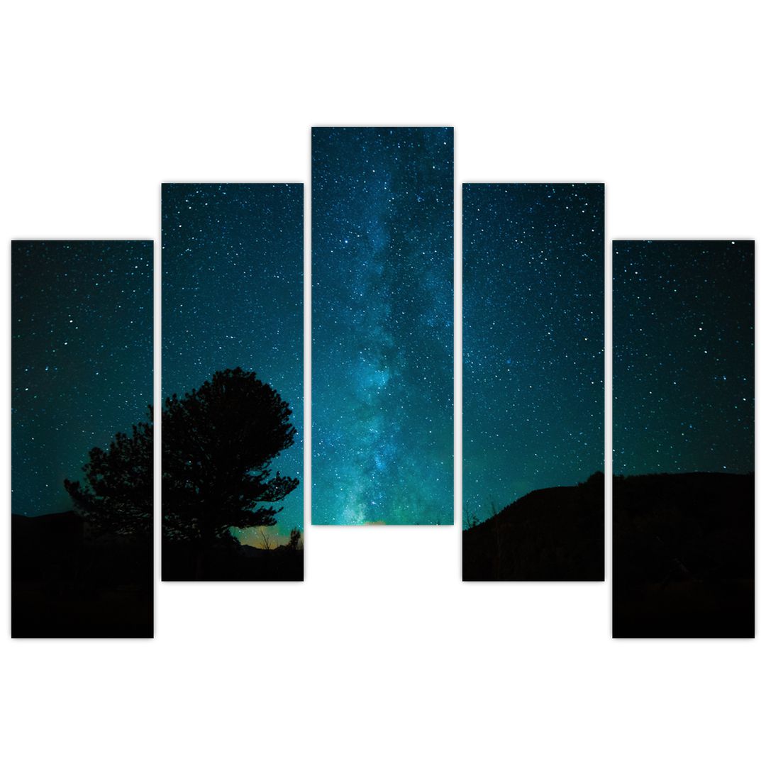 Obraz noční oblohy s hvězdami (V021100V12590)