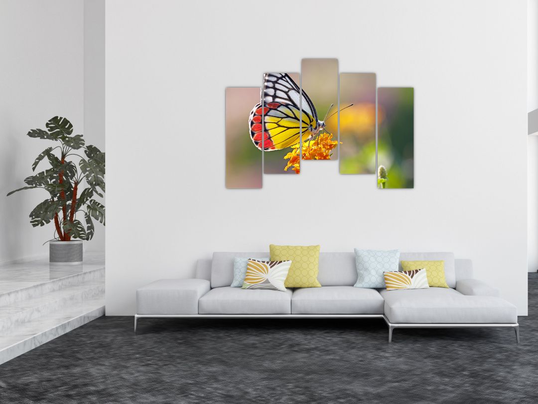 Obraz motýla na květu (V022330V12590)
