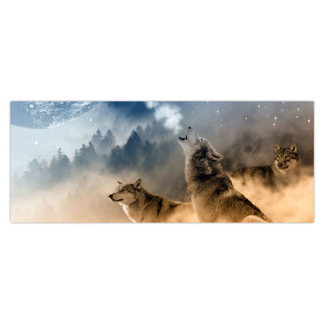 Tablou - lupii urlând la lună (V020509V14558)