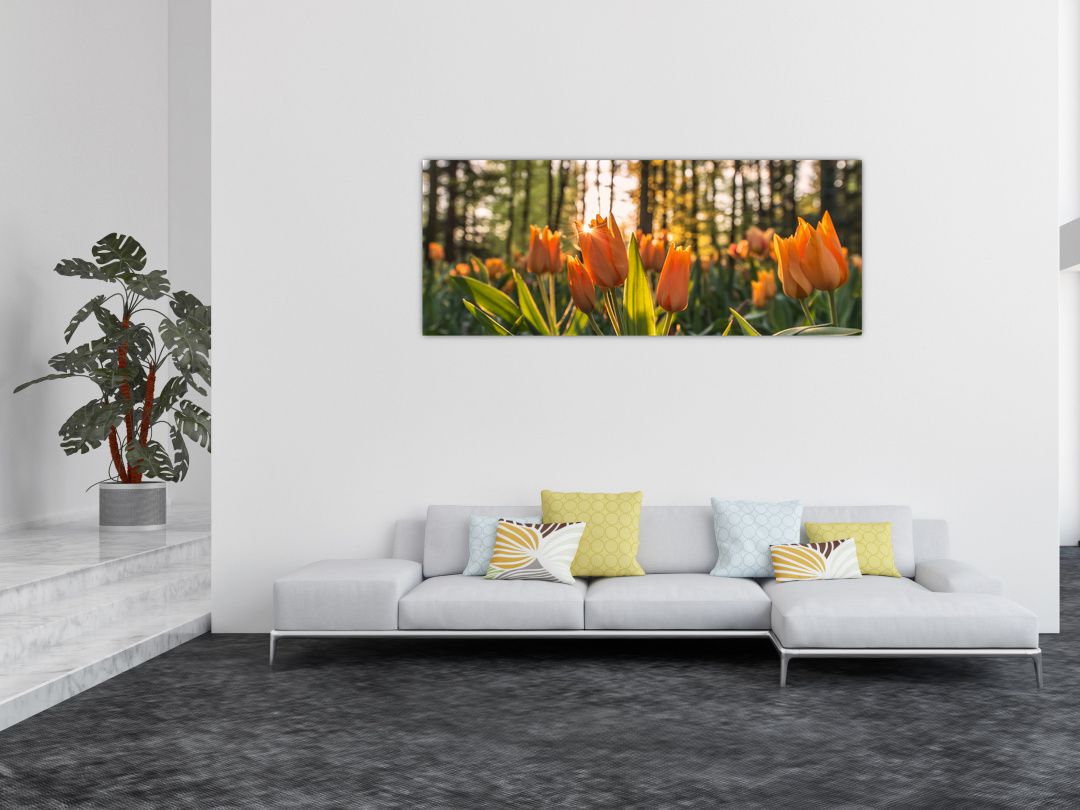Obraz - oranžové tulipány (V020552V14558)