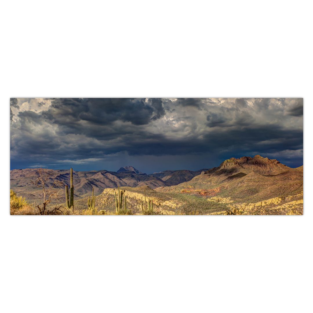 Obraz - kaktusy v přírodě (V020557V14558)