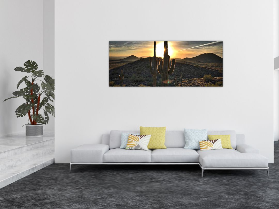 Obraz - kaktusy ve slunci (V020560V14558)