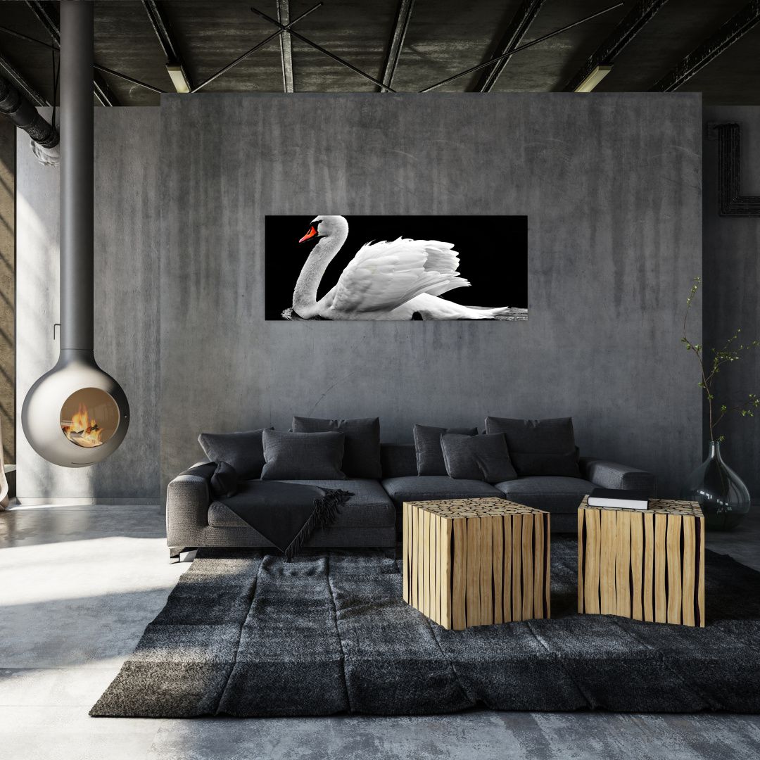 Obraz černobílé labutě (V020586V14558)