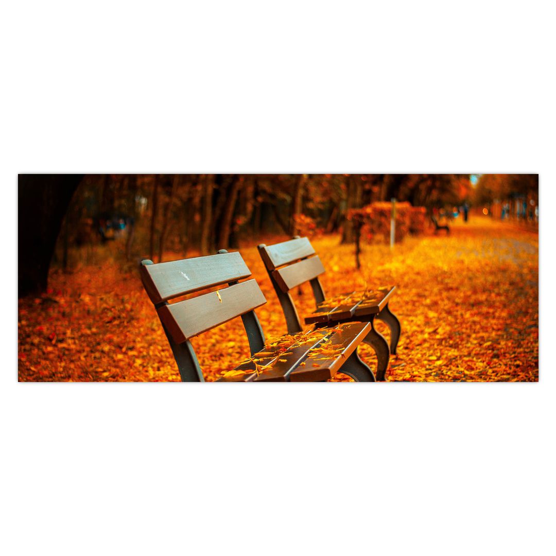 Obraz lavičky v podzimu (V020588V14558)