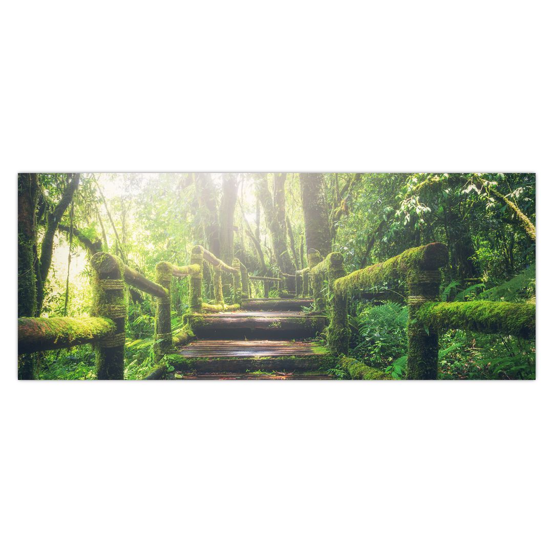 Obraz - dřevěné schody v lese (V020593V14558)