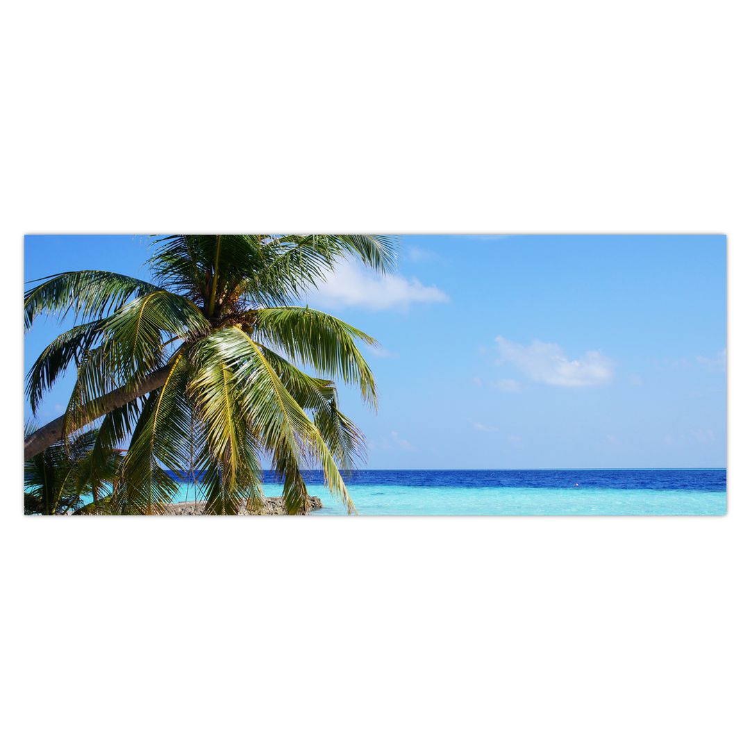 Obraz palmy na pláži (V020612V14558)