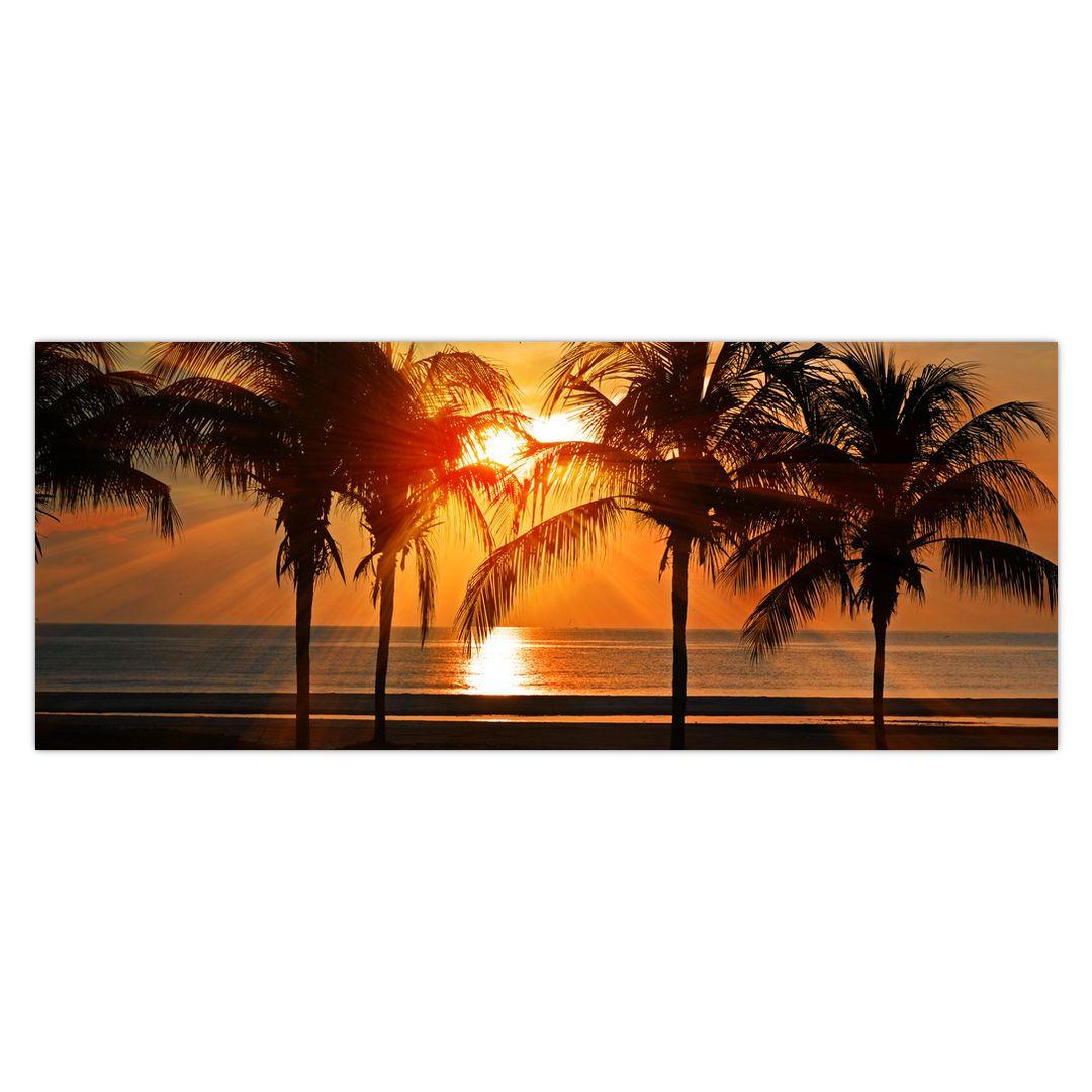 Obraz palmy v západu slunce (V020622V14558)