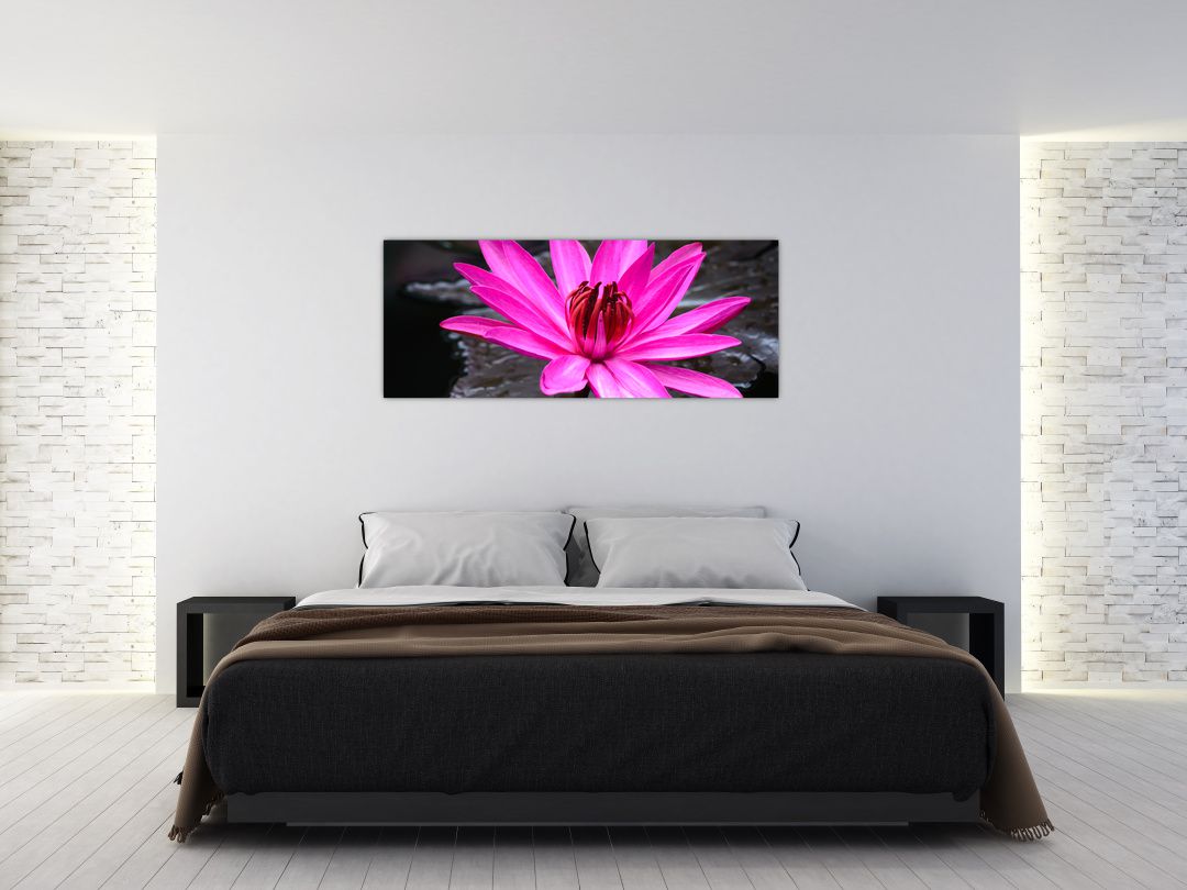 Obraz - růžový květ (V020636V14558)