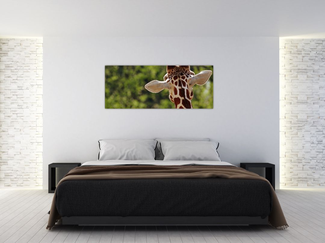 Obraz žirafy zezadu (V020638V14558)