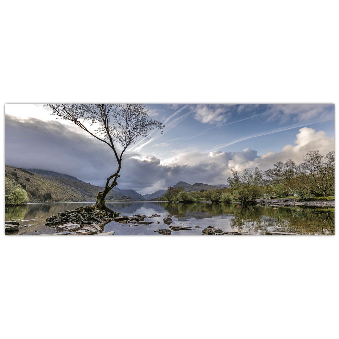 Obraz řeky se stromem (V020917V14558)