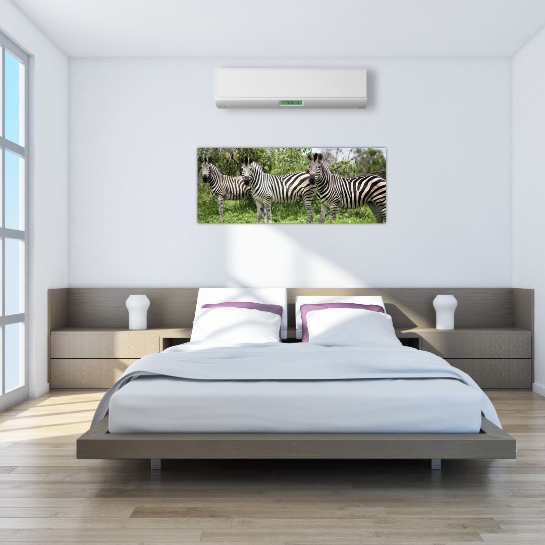Obraz s zebrami (V020921V14558)