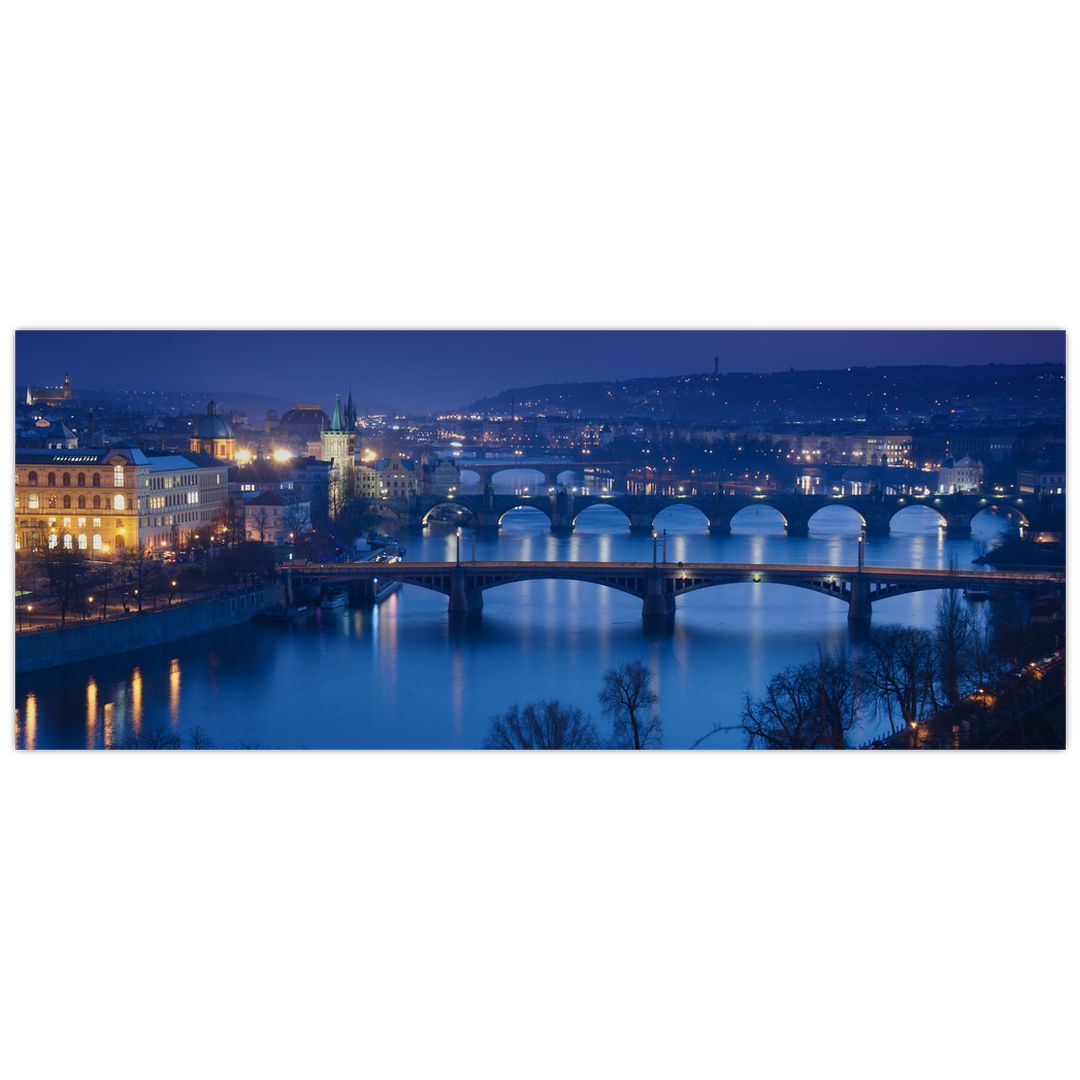 Obraz pražských mostů (V020932V14558)