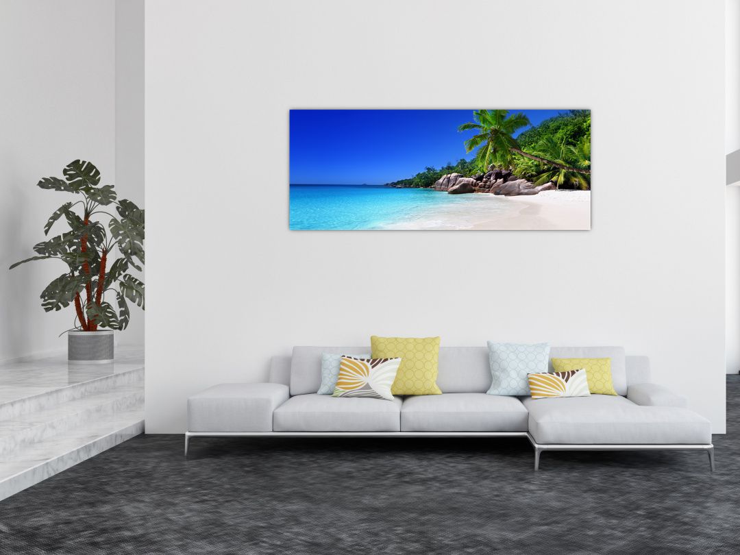 Obraz pláže na Praslin ostrově (V020936V14558)