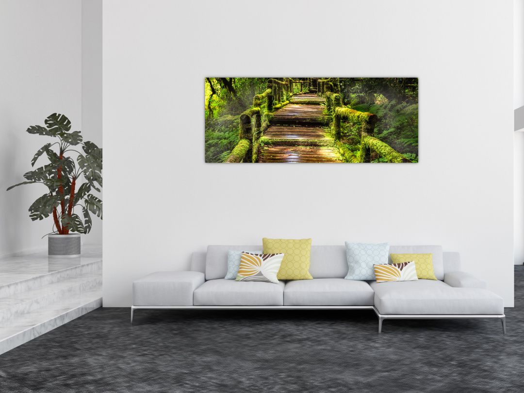 Obraz schodů v deštném pralese (V020941V14558)