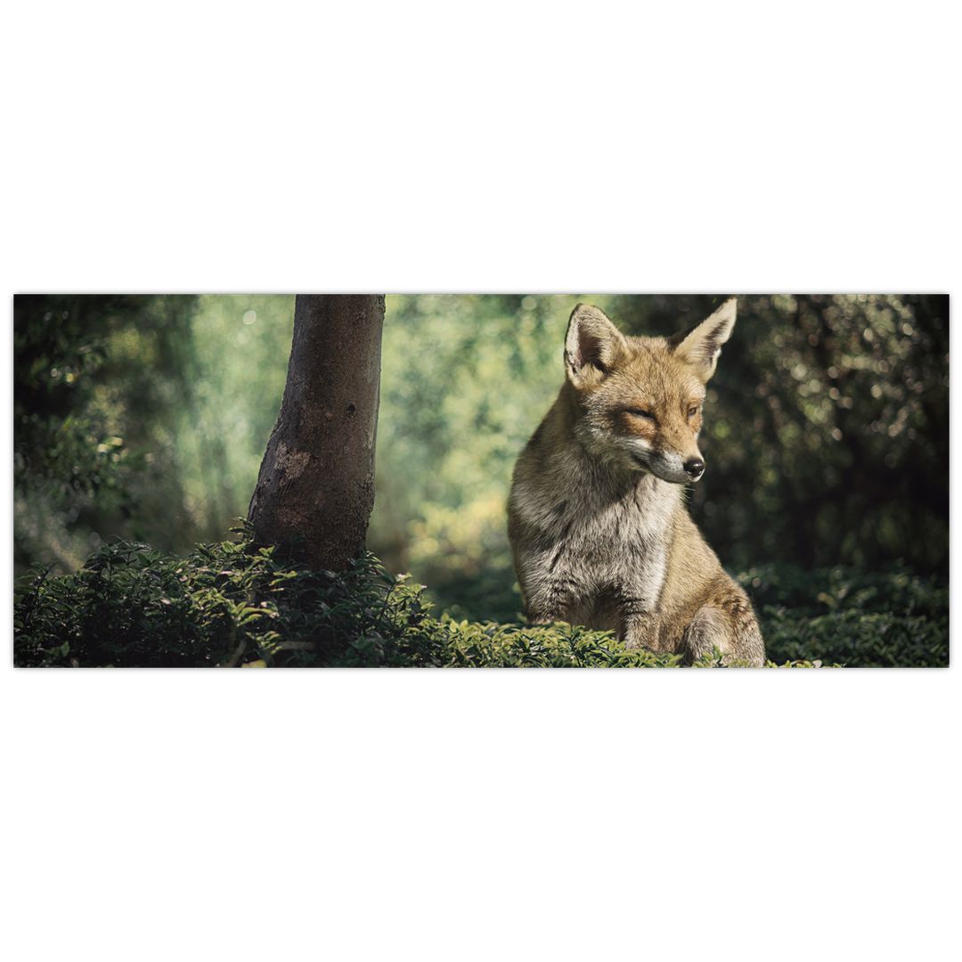 Obraz lišky (V020956V14558)