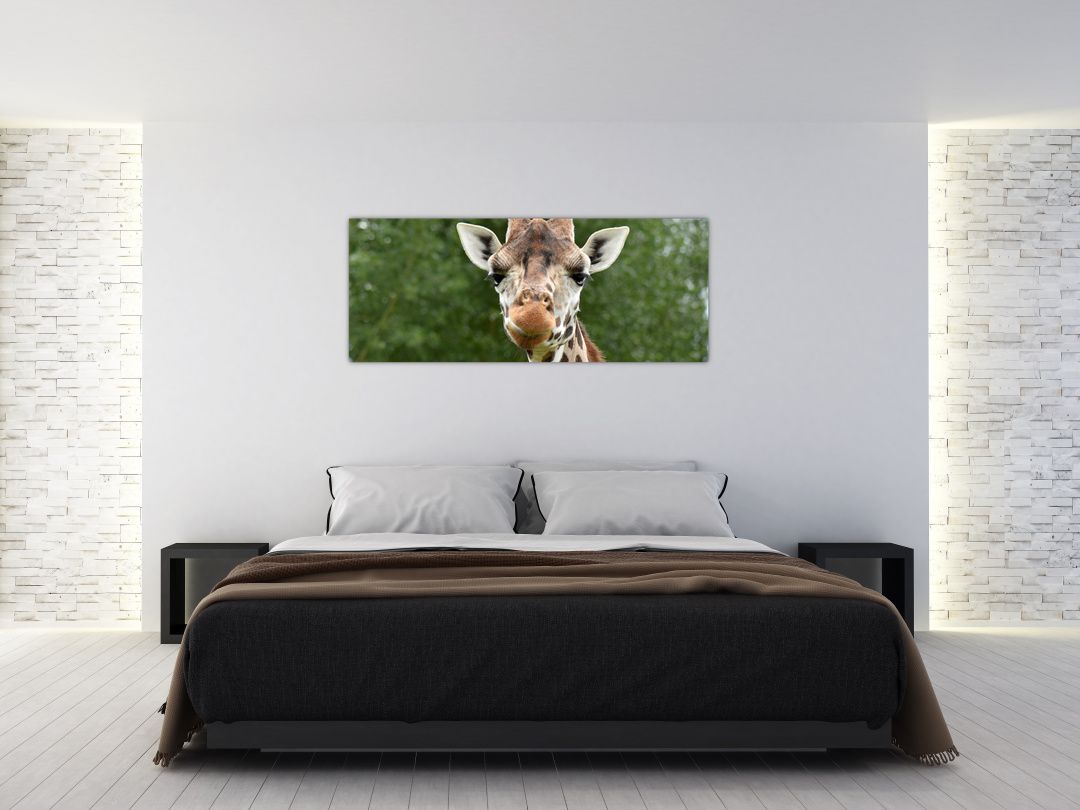 Obraz žirafy (V020969V14558)
