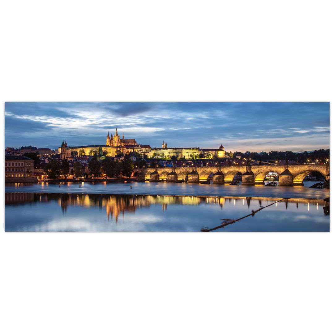 Obraz Pražského hradu a Karlova mostu (V020970V14558)