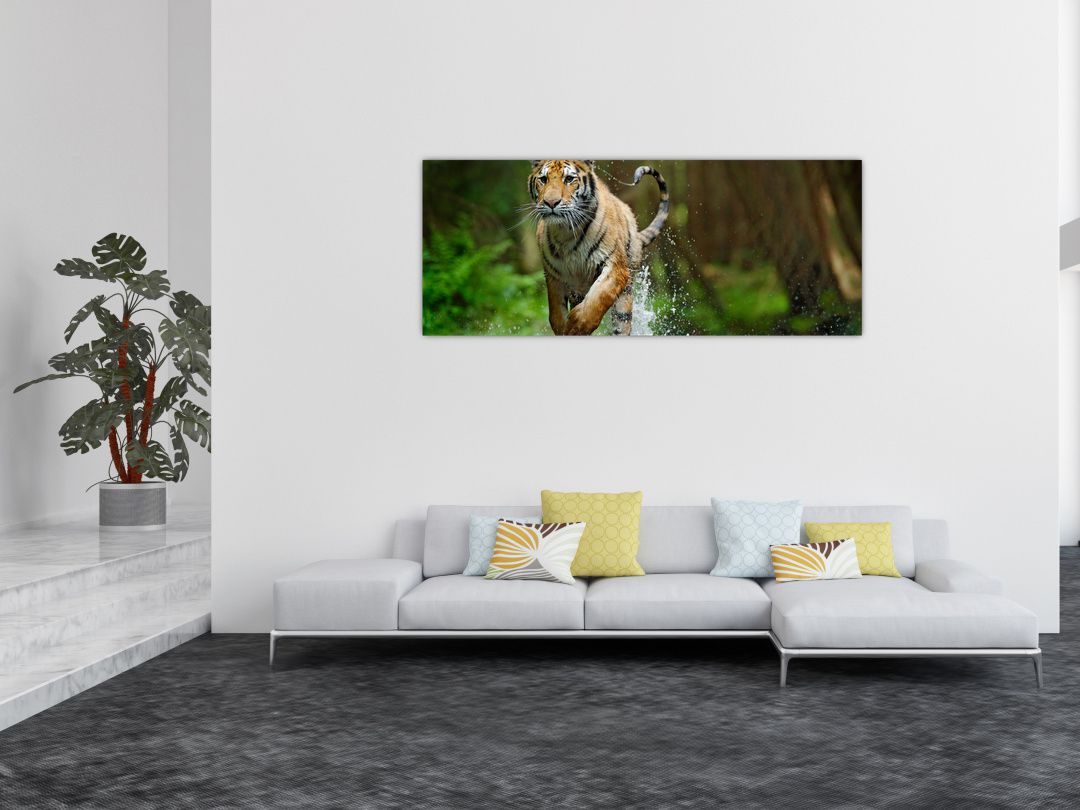 Obraz běžícího tygra (V020979V14558)