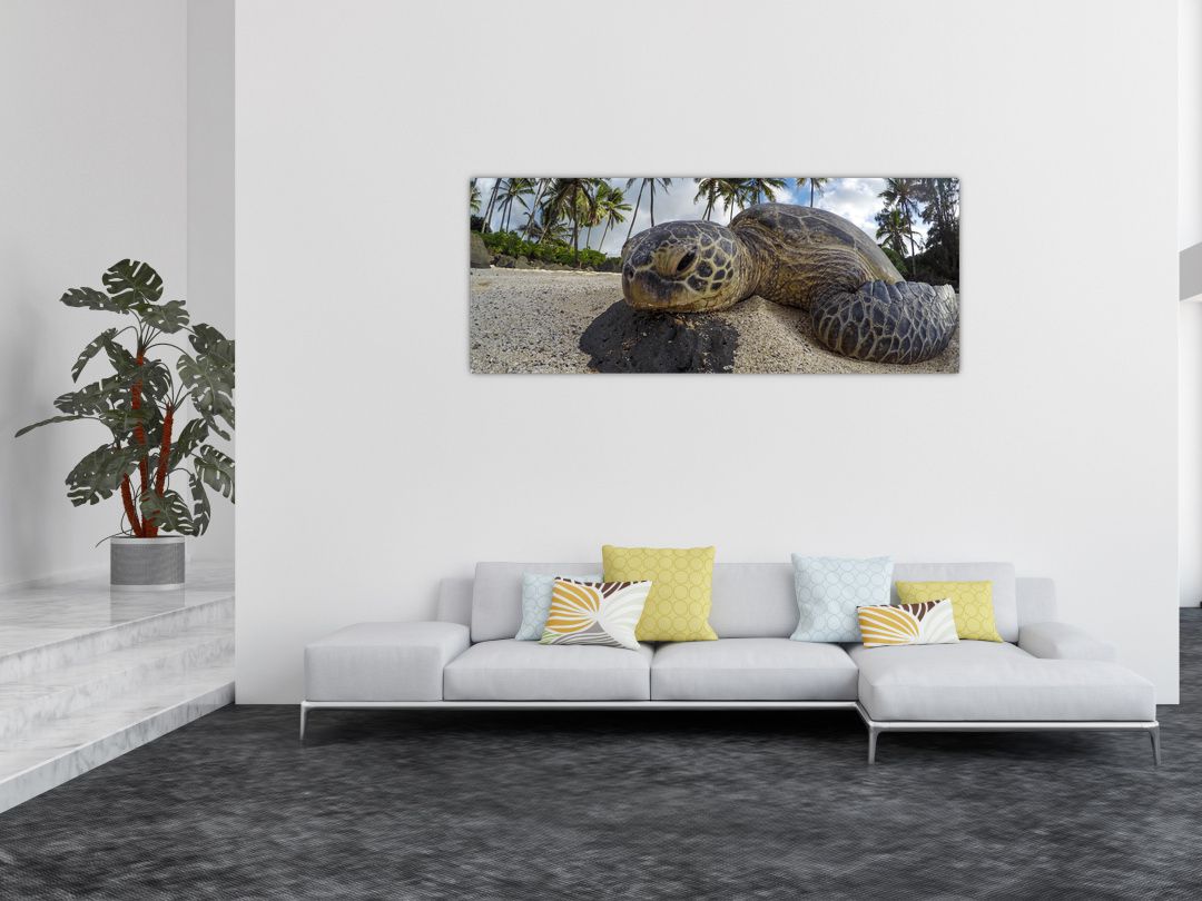 Obraz želvy (V020992V14558)