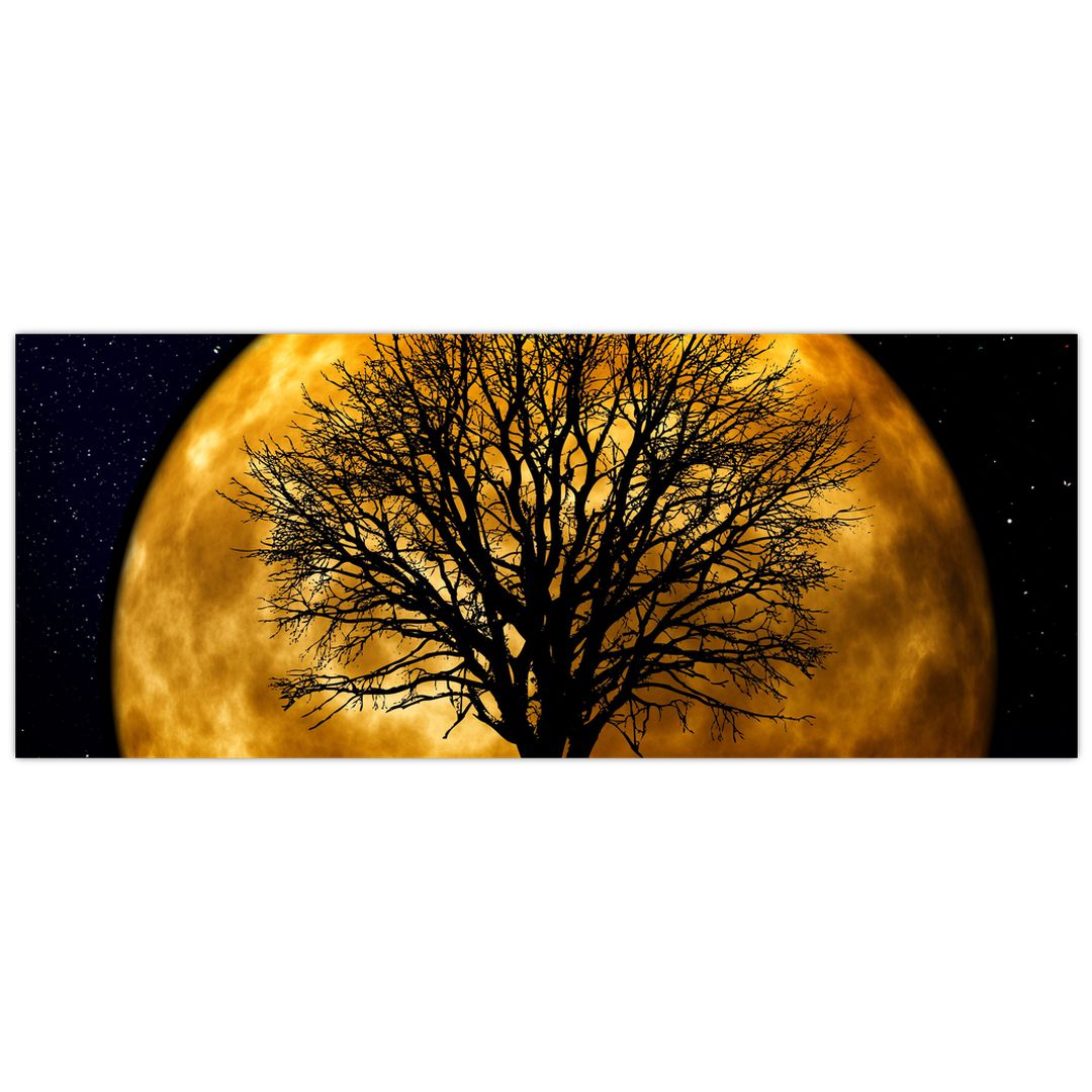 Obraz měsíce a siluet (V020995V14558)