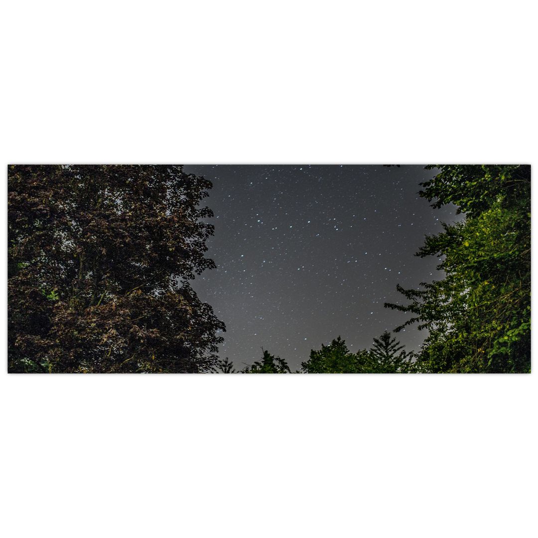 Obraz noční oblohy (V020998V14558)