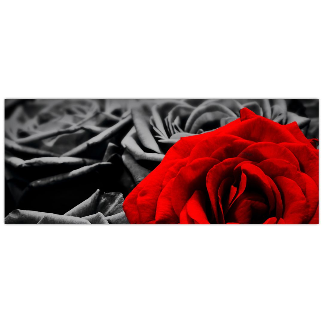 Tablou - Flori de trandafir (V021975V14558)