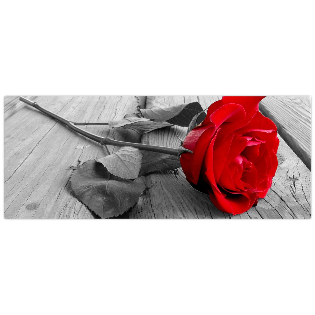 Obraz rudé růže (V022288V14558)