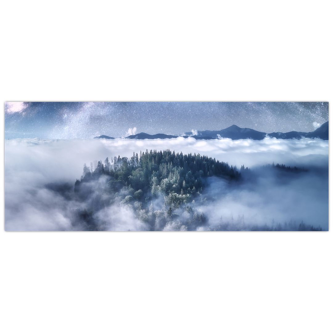 Obraz lesa v mlze (V022302V14558)