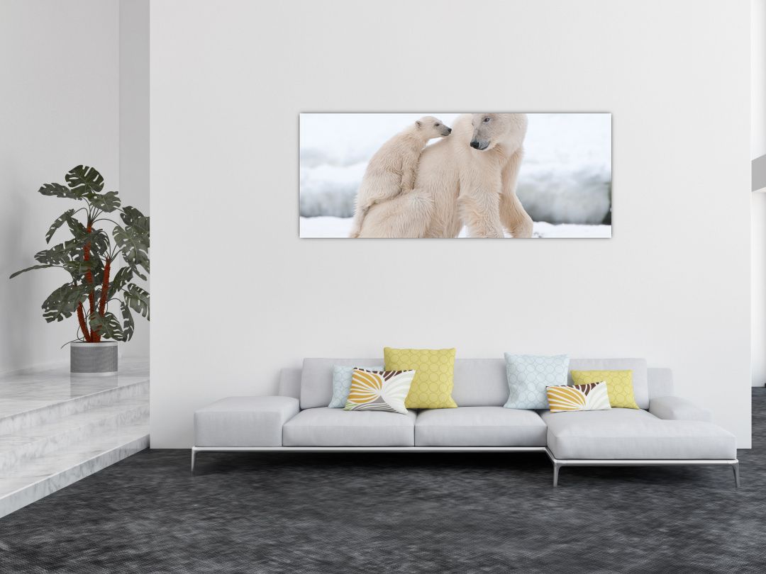 Obraz - Lední medvědi (V022334V14558)
