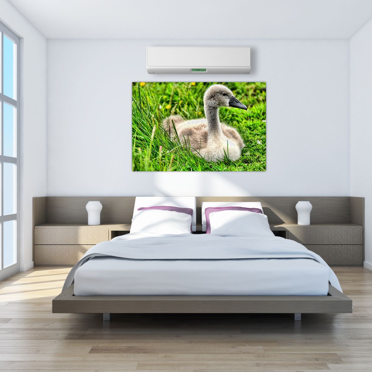 Obraz - malá labuť v trávě (V020585V150100)