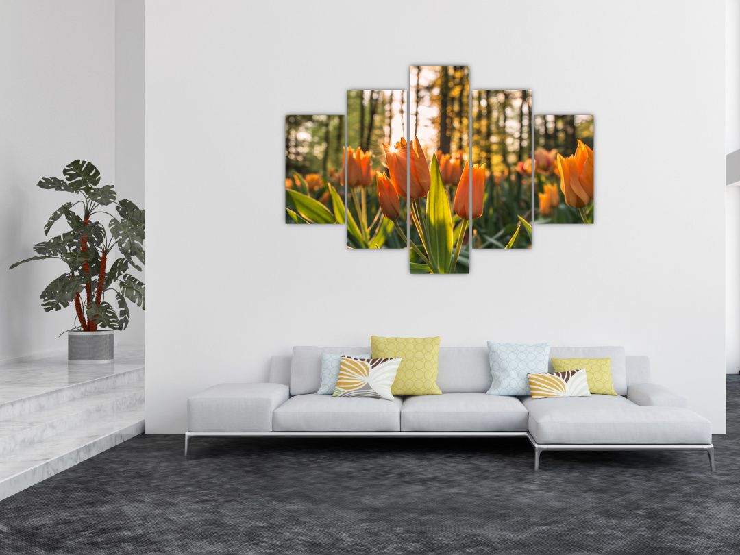 Obraz - oranžové tulipány (V020552V150105)