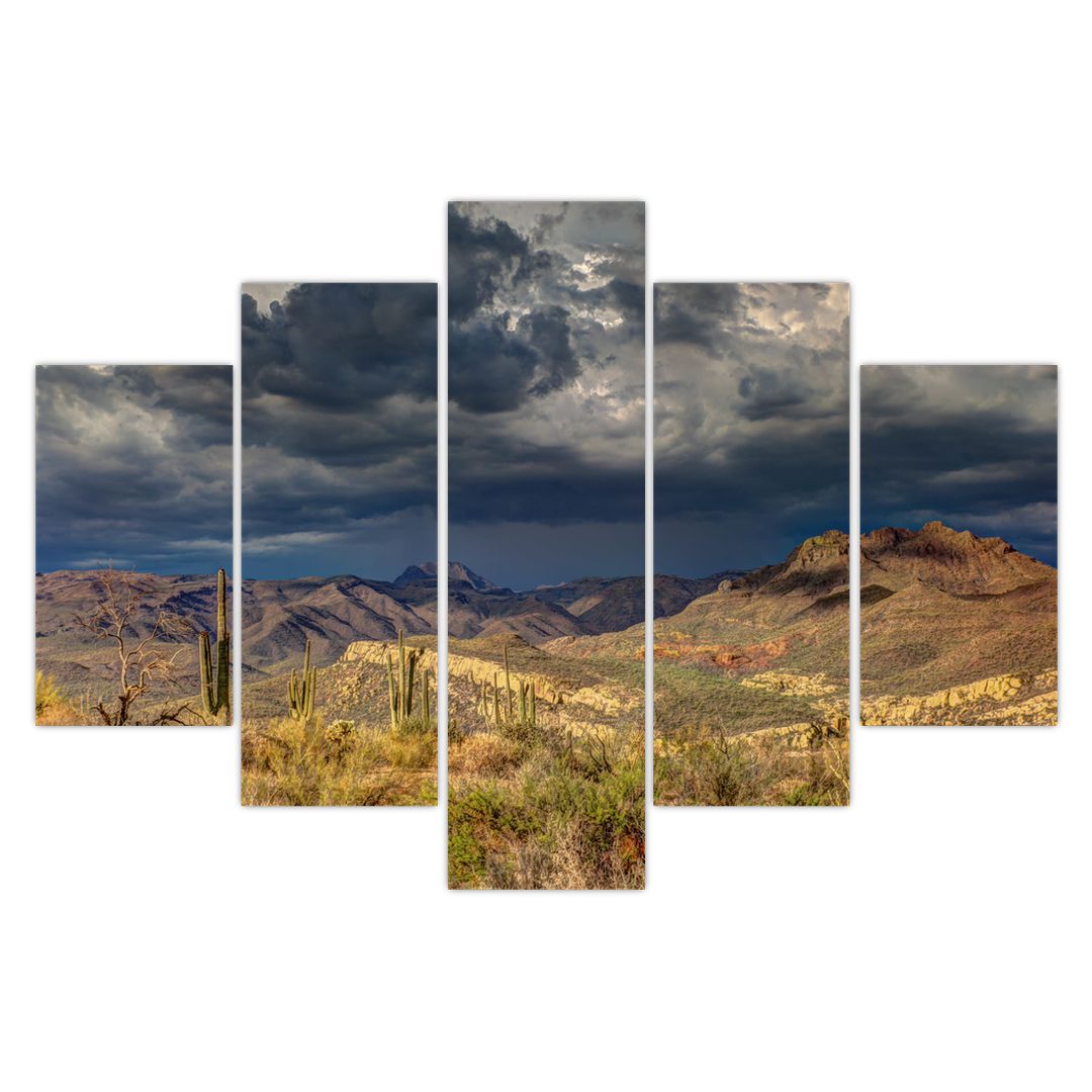 Obraz - kaktusy v přírodě (V020557V150105)
