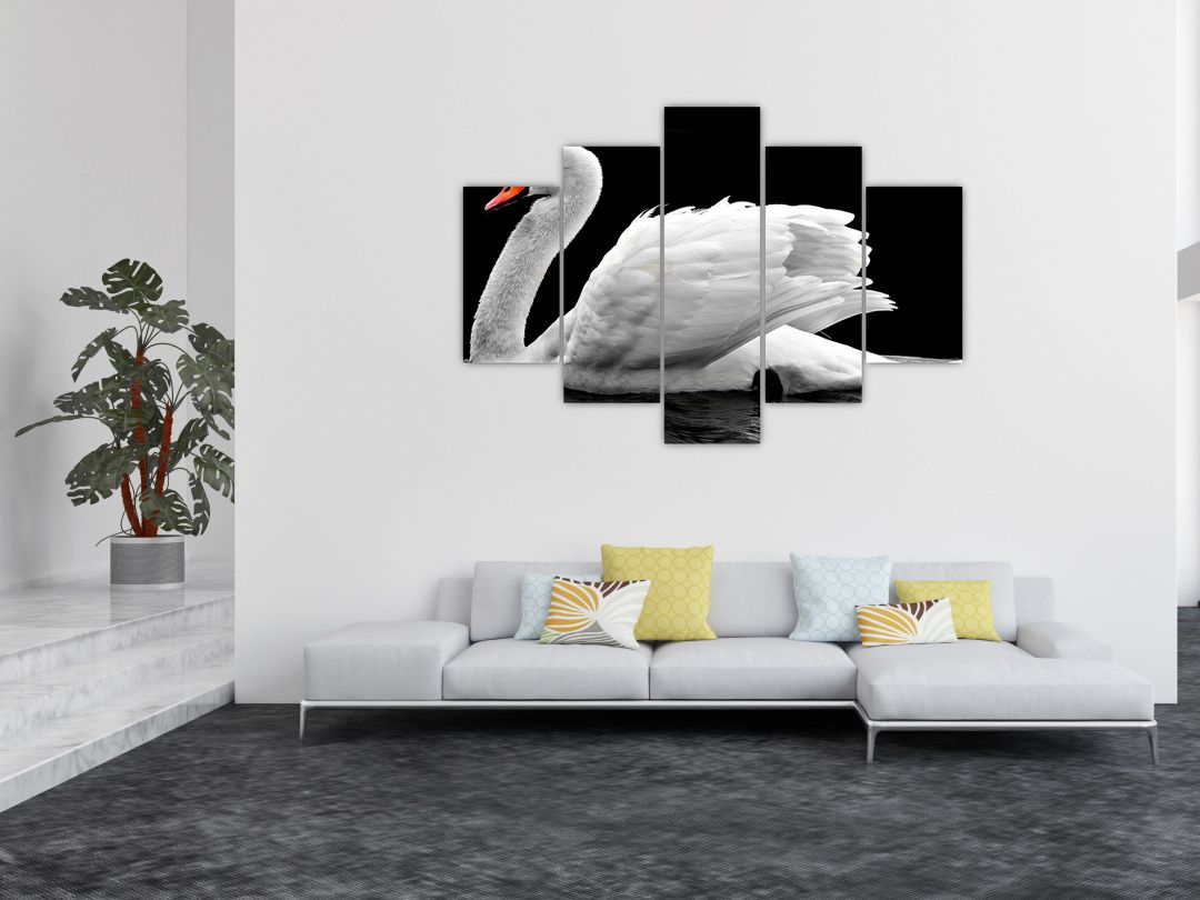 Obraz černobílé labutě (V020586V150105)