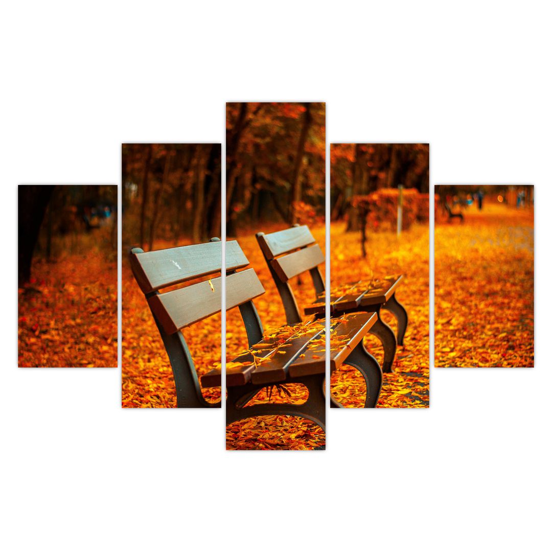 Obraz lavičky v podzimu (V020588V150105)