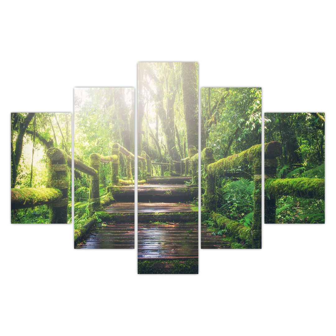 Obraz - dřevěné schody v lese (V020593V150105)