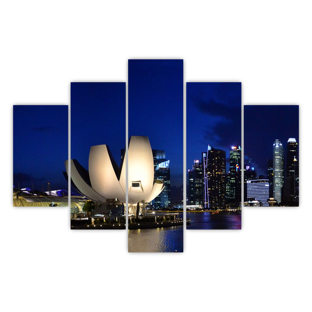 Obraz nočního Singapouru (V020610V150105)